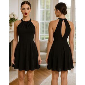 Express Dress 2/XS  Black LBD Key Open Back Chiffon Sleeveless Mini Grecian Neck